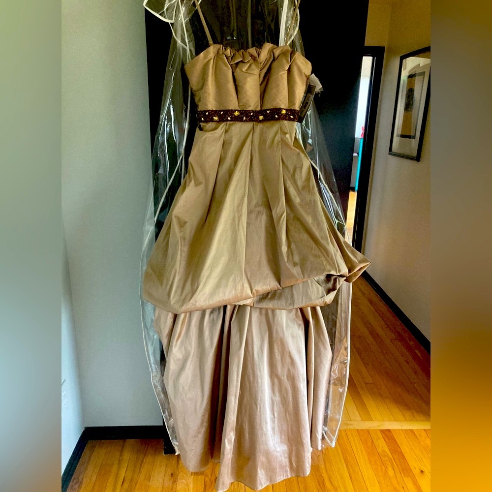 Stunning gold/bronze gown